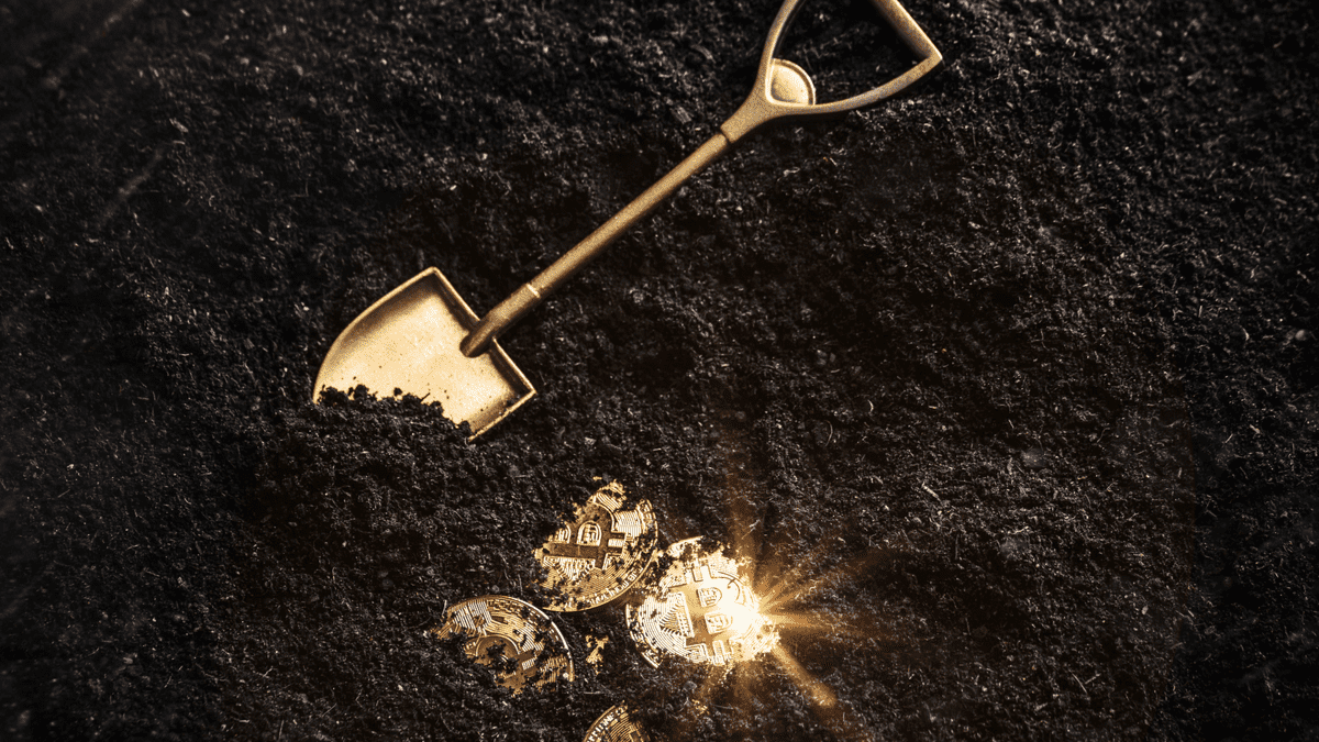 Depois entregar 12.000% de lucro com AXS, André Franco revela as novas 5  criptomoedas que podem transformar 500 reais em 1 milhão