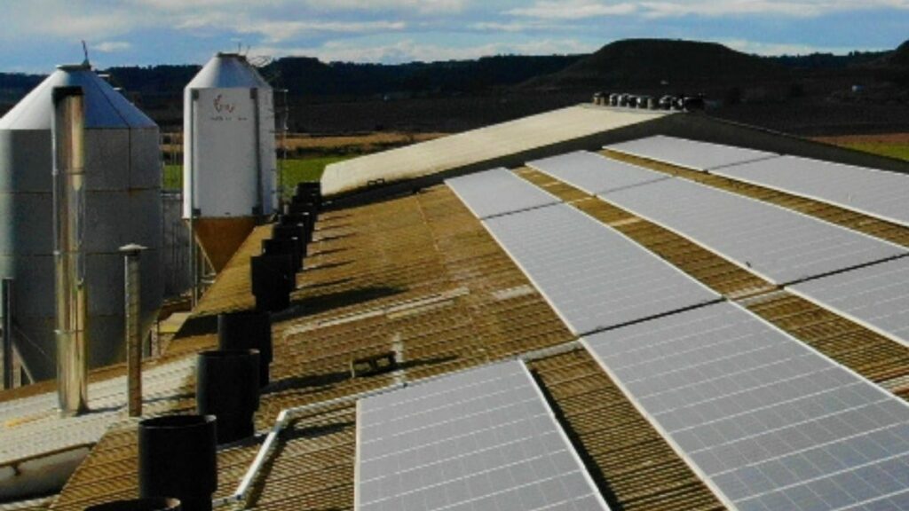 painéis solares sobre casas em região rural