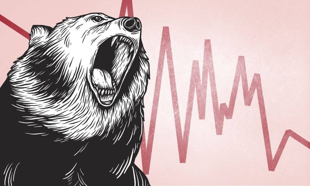 Imagem de um urso com um gráico atrás, representando o bear market