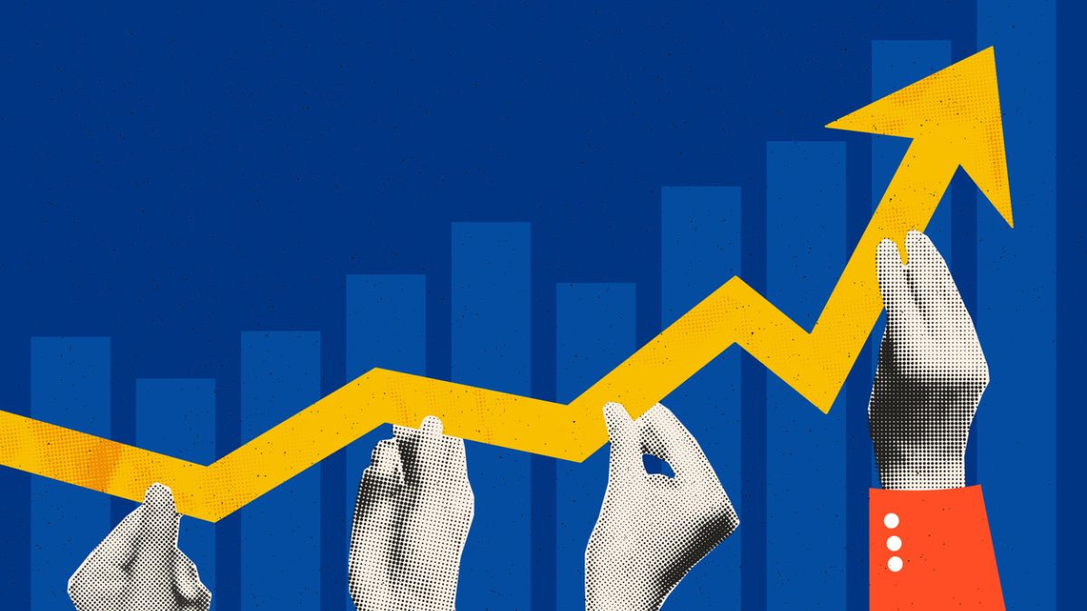 Saiba qual é a carteira de investimentos ideal para você buscar retornos acima da média com segurança 