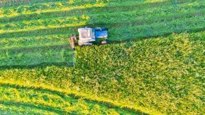 slc agrícola slce3 agronegócio agricultura