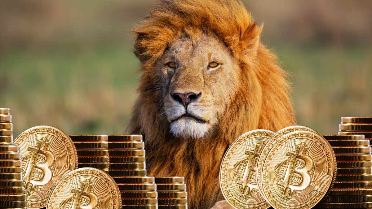 Cripto e Imposto de Renda 2025: veja como declarar bitcoin, ethereum e mais